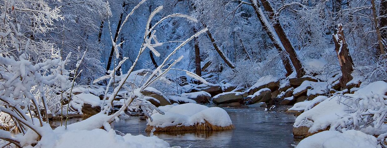 Photograph by Derek von Briesen