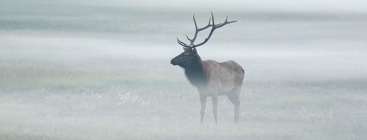 Photograph by Bill Ferris