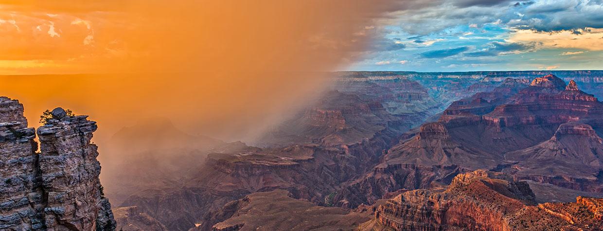 Photograph by Guy Schmickle