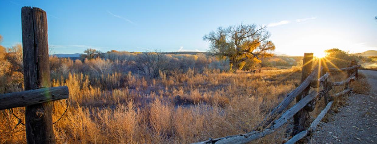 Rockin' River Ranch State Park landscape, courtesy of Arizona State Parks