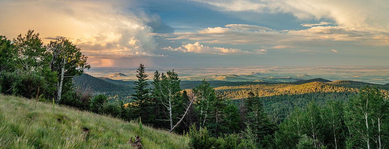 The White Mountains of Eastern Arizona by Laurence Parent