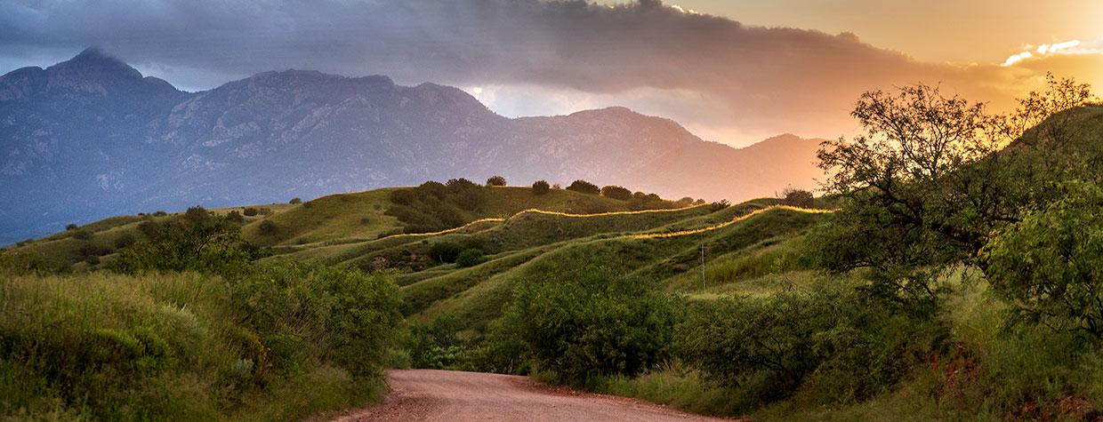 Evening light illuminates the rolling foothills of the Santa Rita Mountains along Gardner Canyon Road, an ideal route for exploring the range.  Photograph by Norma Jean Gargasz.