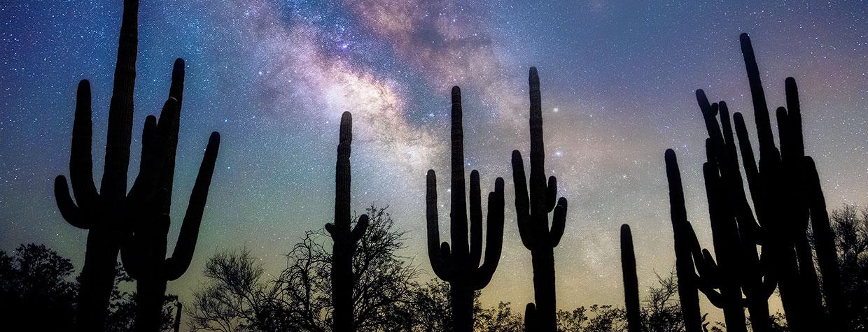 Tall saguaros anchor a nighttime view of the Milky Way galaxy near San Manuel, northeast of Tucson. By Sean Parker