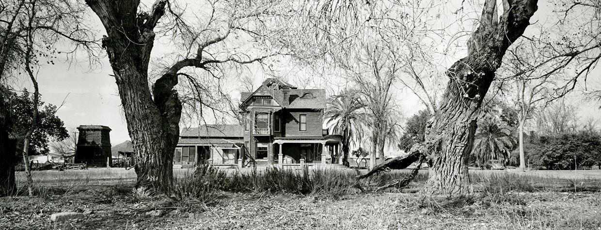 Tall trees frame a view of Tempe’s Petersen House in 1960, when it was still in a rural setting. Photograph: Tempe History Museum