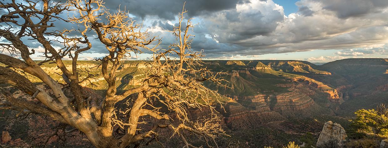 A sprawling view of the Grand Canyon  is the reward at the end of the long drive to  Crazy Jug Point. By Paul Gill