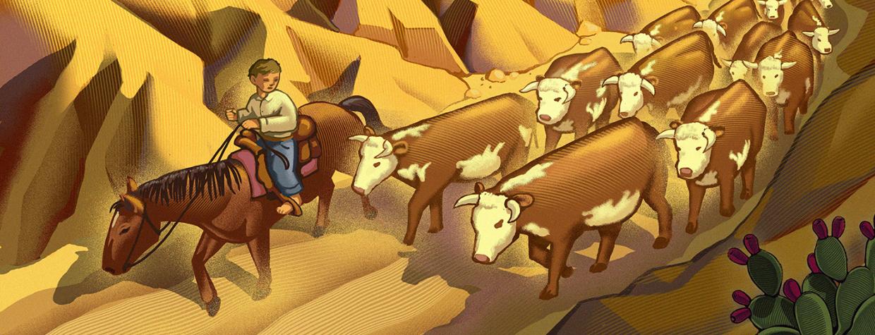 Illustration of young barefooted boy on horse guiding cattle through a wash. By Chris Gall