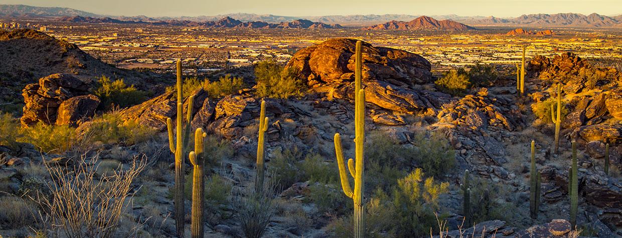 Tall saguaros punctuate an evening view of Phoenix, including Camelback Mountain. By Joel Hazelton