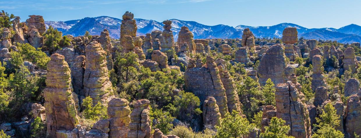 Rock hoodoos mix with pine trees in the Chiricahua National Monument, near Willcox, Arizona.