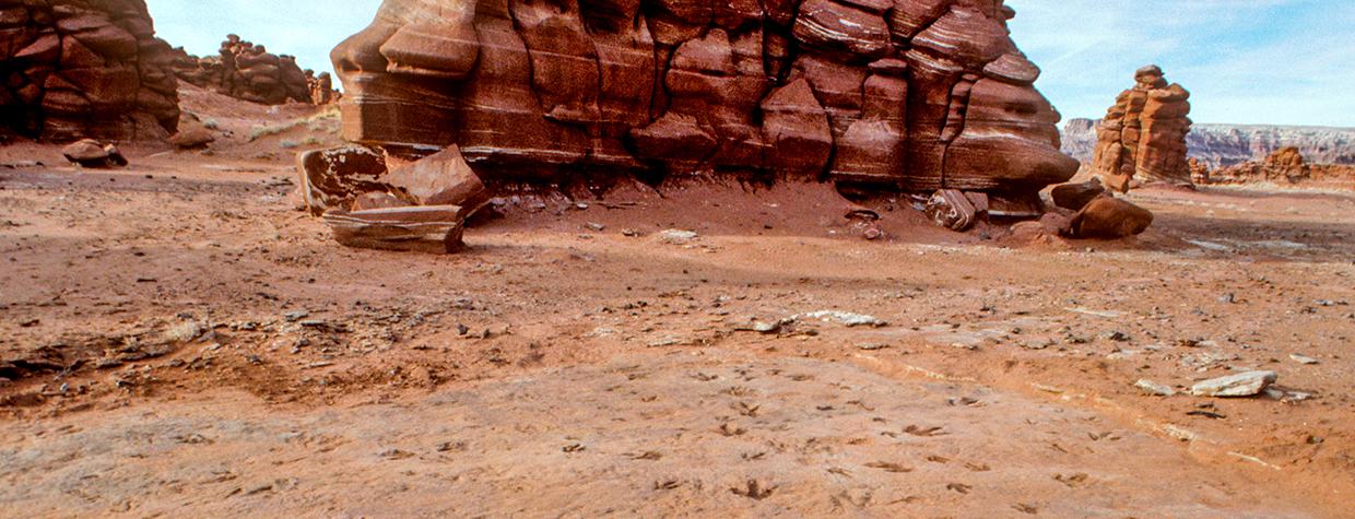  Dinosaur tracks etched in stone lead to layered rock formations in the Painted Desert. By Tom Bean
