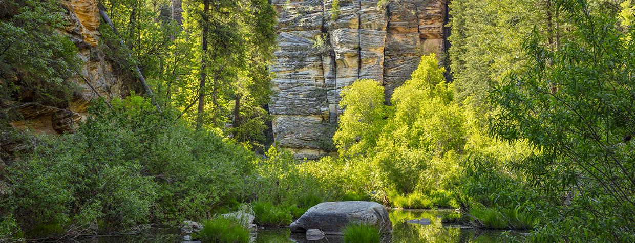 Late-afternoon light illuminates foliage along a placid pool near the Maxwell Trail. | Joel Hazelton