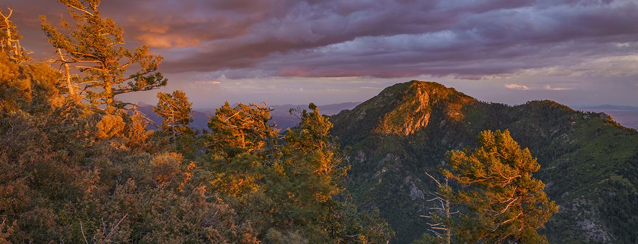 Sunlight breaks through monsoon clouds seen from Carr Peak in the Huachuca Mountains of southern Arizona. By Laurence Parent
