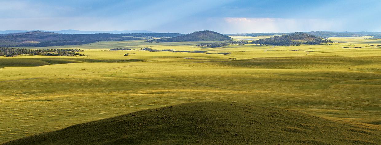 The summit of Wahl Knoll, a peak in Eastern Arizona’s White Mountains, offers a view of an expansive meadow and other rounded knolls. Reaching an elevation of more than 9,700 feet, Wahl Knoll is off State Route 261 northeast of Big Lake. | Joel Hazelton
