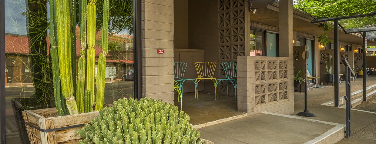 Large wooden containers hold mature succulents outside a the patio and entrance to a room at The Star Motel. By Laurence Parent