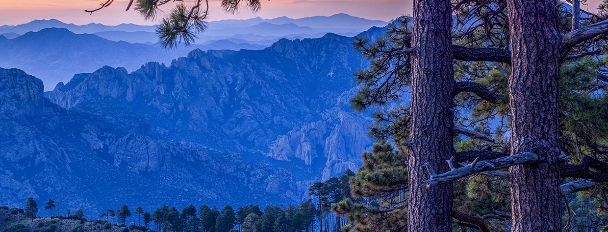 Jagged mountains form a layered panorama at sunrise in a view near Rustler Park, part of Southeastern Arizona’s Chiricahua Mountains. Named for the cattle thieves who once holed up there, Rustler Park is known for its birding and wildlife-watching opportunities. | Jeff Maltzman 