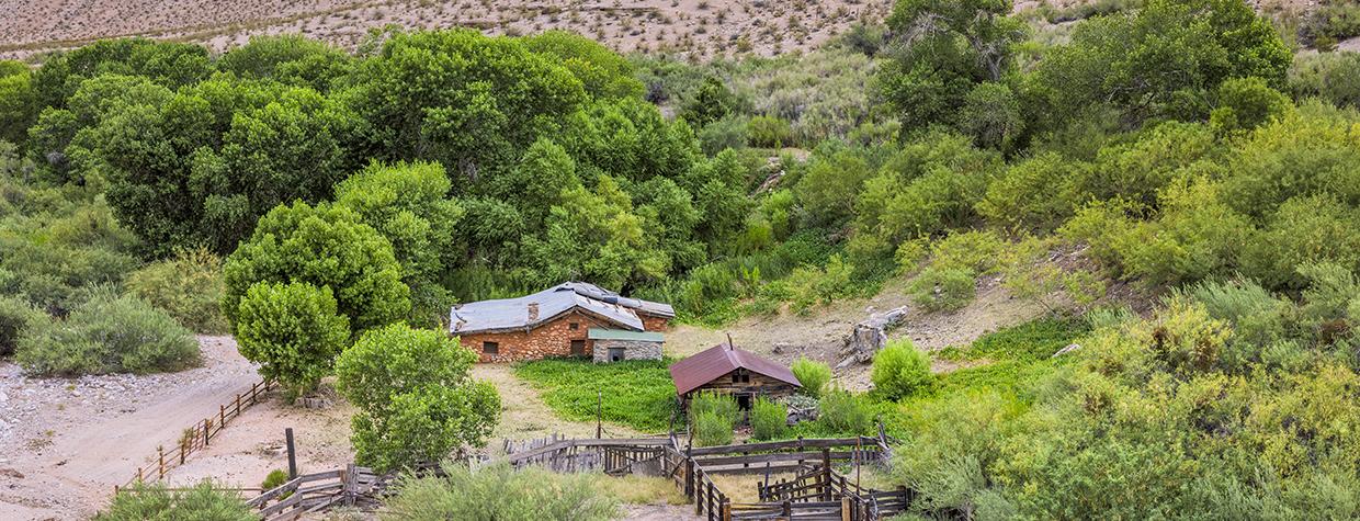 Immediately surrounded by green vegetation, Tassi Ranch sits on a rugged and remote stretch of northwest Arizona. By John Burhcam