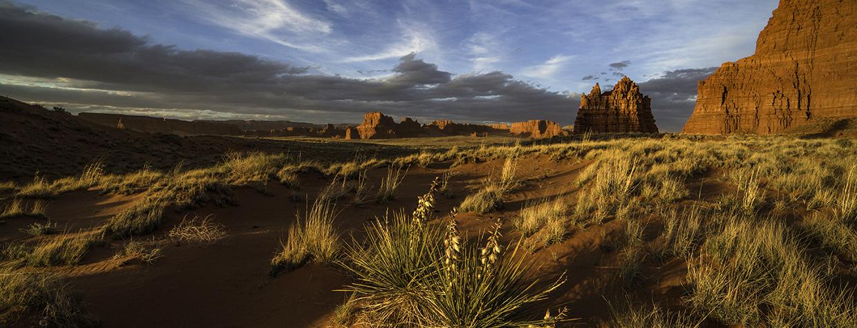 Flowering yuccas catch the last light of the day beneath the sandstone buttes of the Navajo Nation, which makes up much of Arizona’s northeast corner. Covering more than 27,000 square miles in Arizona, New Mexico and Utah, the Navajo Nation is the largest tribal land in the United States. By Bernhard Michaelis