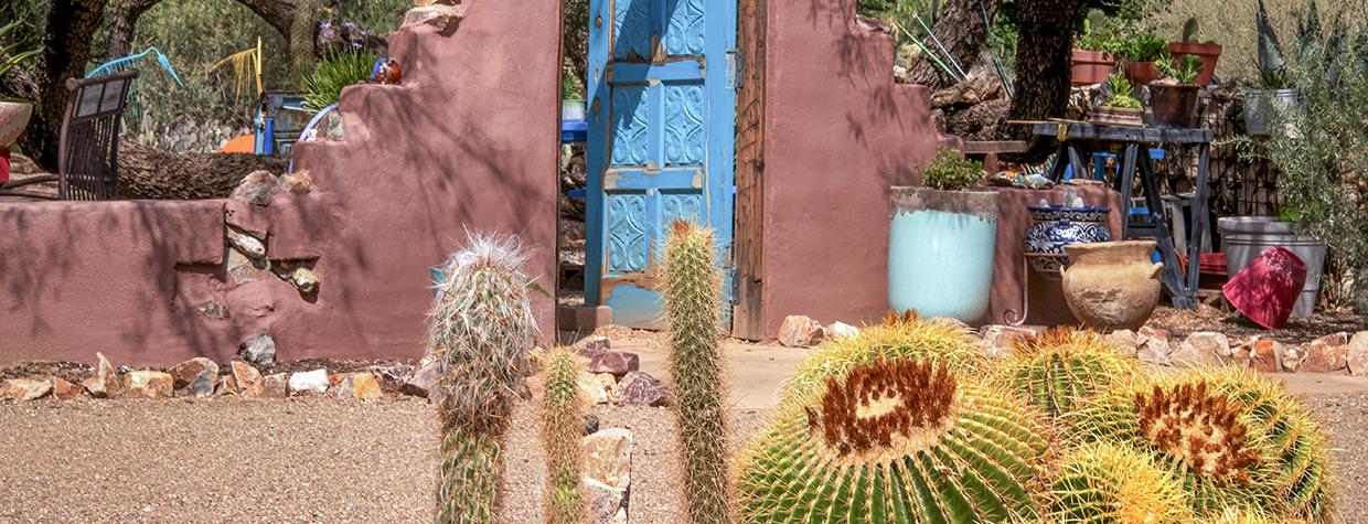 A cactus garden and colorful ceremic pots near a Southwest style fence and gate adorn the grounds of Desert Meadow Park. By Norma Jean Gargasz