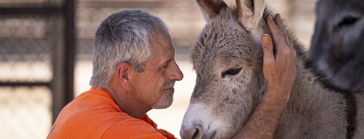 Joel H. works to build trust with Aries, a 1-month-old burro. | David Wallace