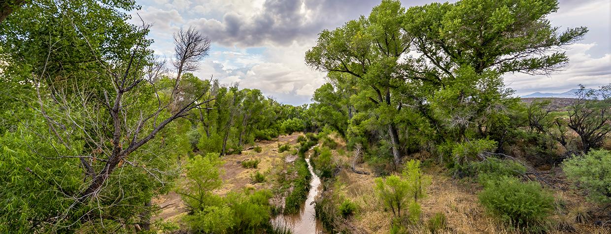 Storm clouds gather over the San Pedro River in a view near Charleston Road. By A.O. Tucker