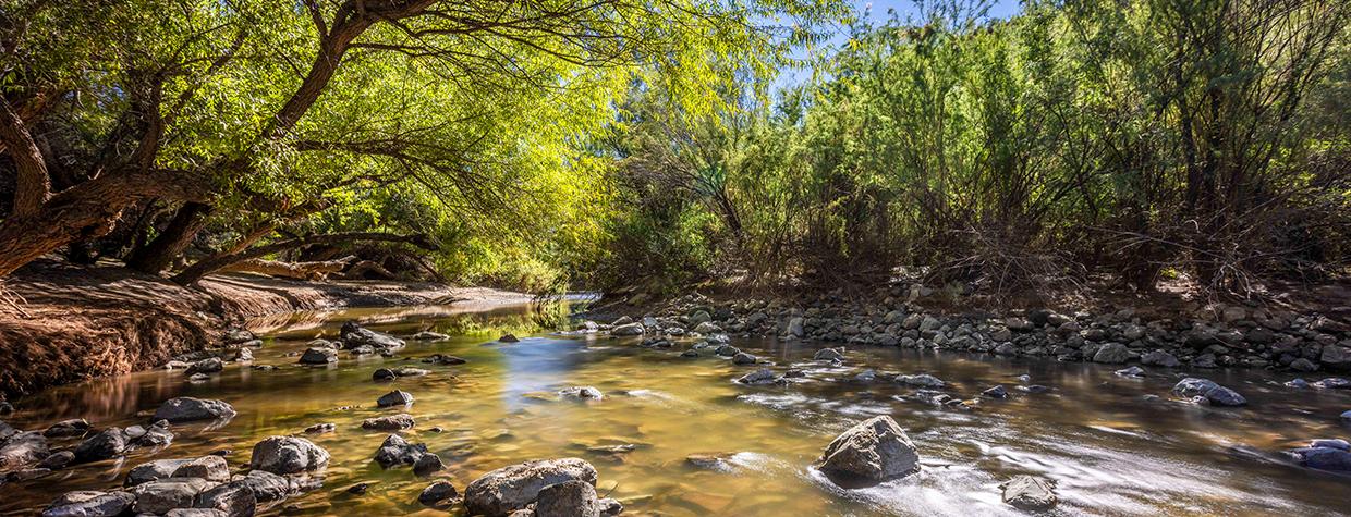 State Route 77 curves through a landscape of tall saguaros and jagged peaks. | A.O. Tucker