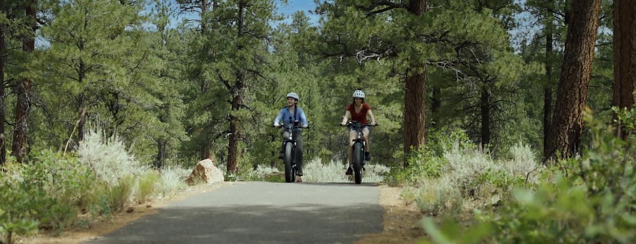 Two mountain bikers tour ride along a paved path through pine trees.