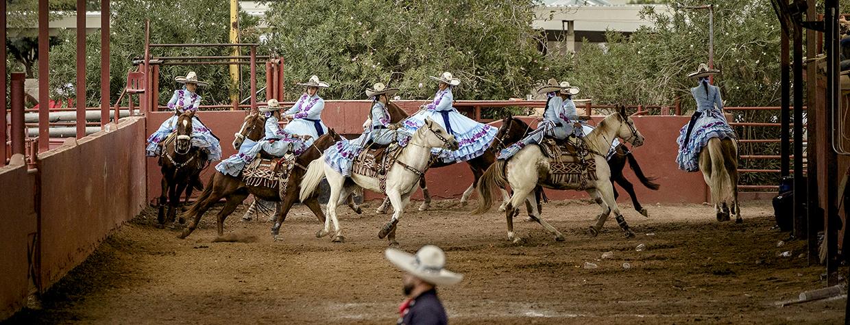 Rayenari is one of the most successful U.S. teams in escaramuza, a Mexican tradition more than 70 years old. | Adriana Zehbrauskas