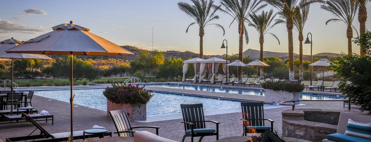 A calm swimming pool is shown, with lounge chairs and palm trees surrounding it. 