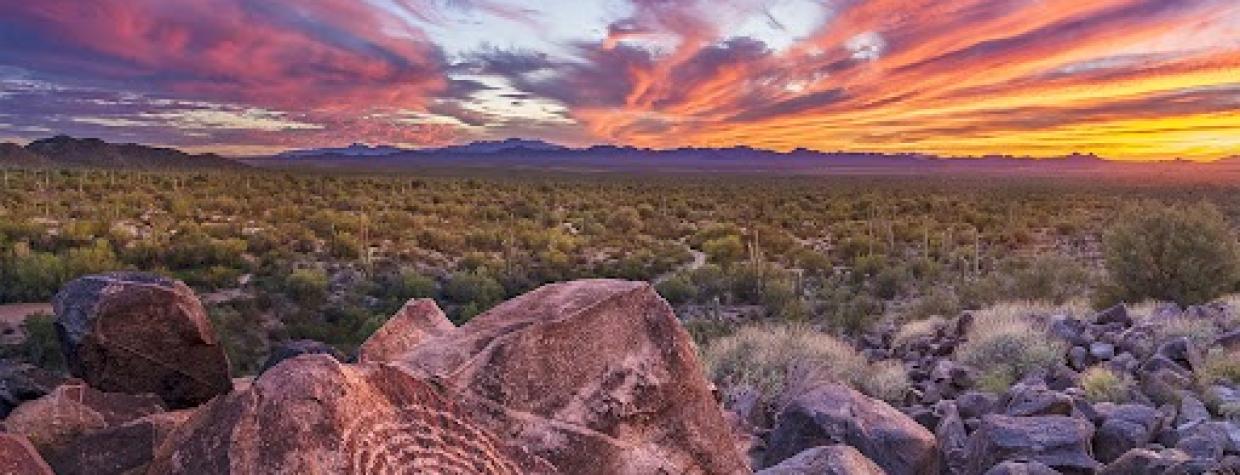 A rock featuring spiral rock art is in the foreground of this photograph, with desert scrub in the middle ground and mountains and an orange, purple and red sunset in the background. 