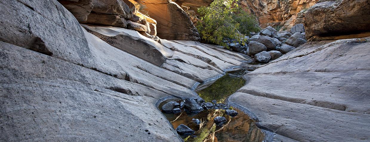 Water pools in a side canyon of Wet Beaver Creek, located southeast of Sedona. | Mark Frank