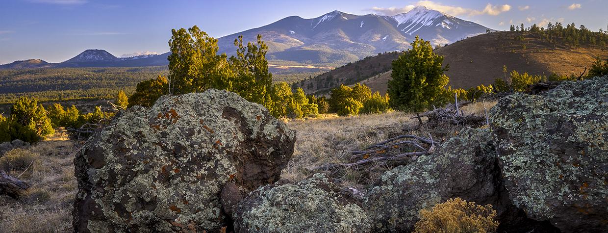 Lichen-covered boulders anchor a view of the San Francisco Peaks near Forest Road 514. By Shane McDermott