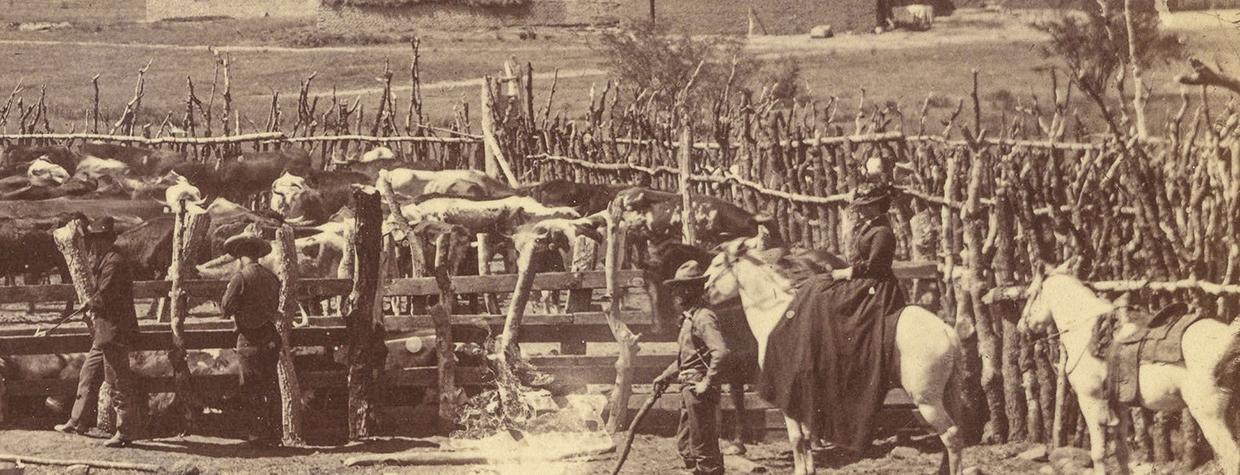Margaret Vail, whose husband purchased the property in 1876, works cattle in the historic upper corral. | Empire Ranch Foundation