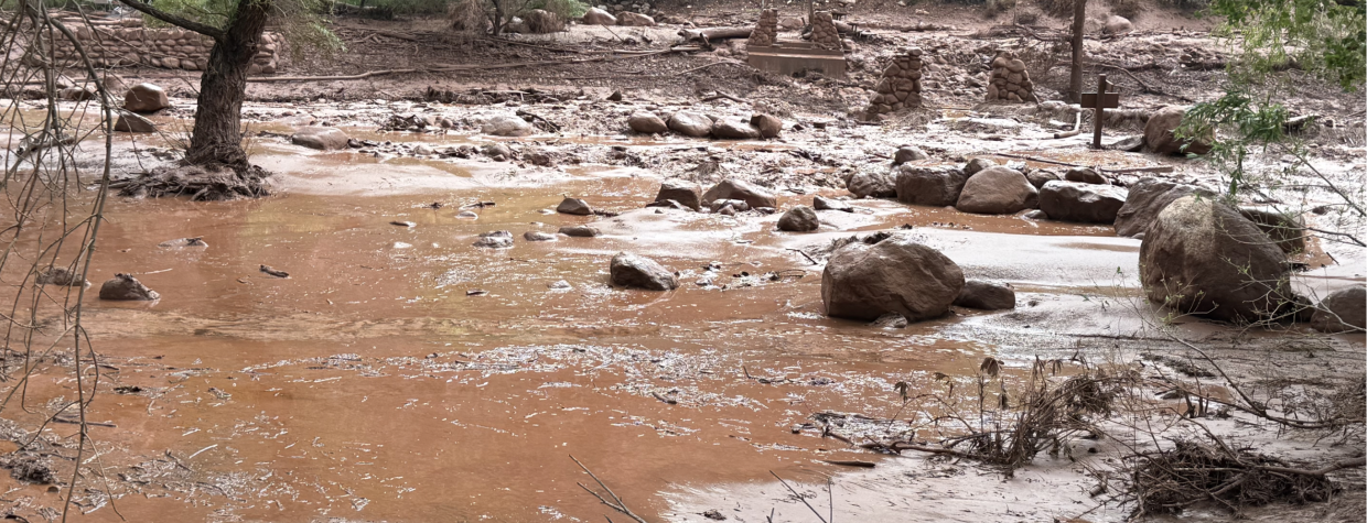 A color image shows the aftermath of flash flooding in the grand canyon and includes muddy water, debris and the remnants of a foot bridge.