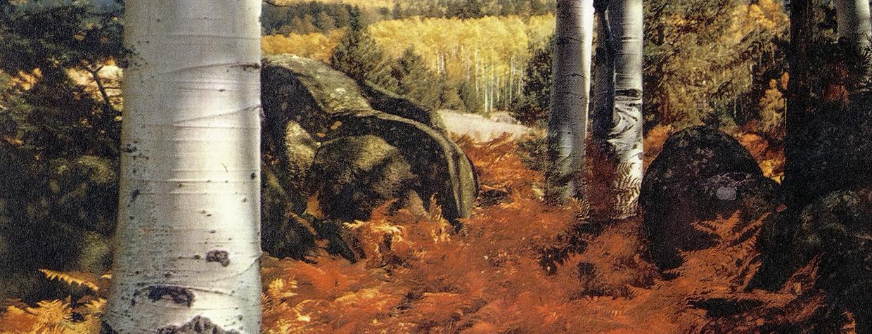 Autumn Clothes the High Country appeared in the October 1957 issue of Arizona Highways. “Scene taken near the San Francisco Peaks in the early part of October in 1954,” wrote our editor. “Venturing off the main roads, one will sometimes find a spot where light and subject matter meets with the approval of a nature photographer.” 