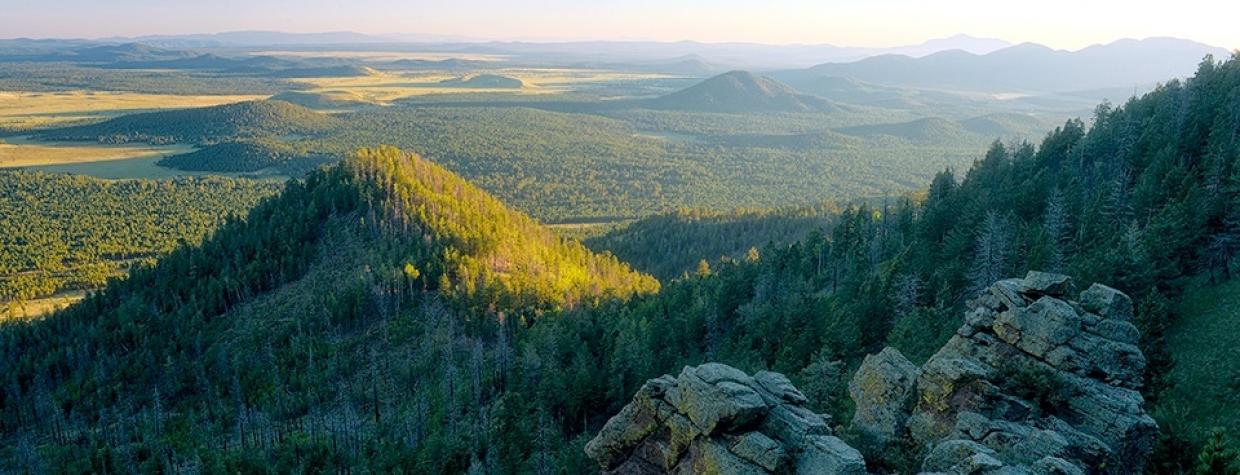 0515_kendricktrail.jpg