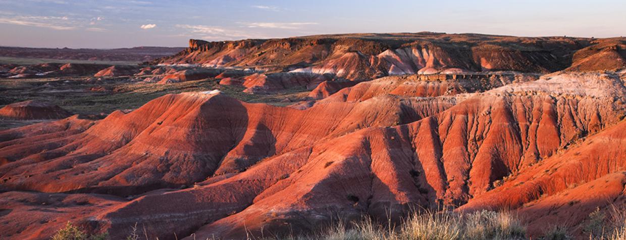 0518_petrifiedforest.jpg