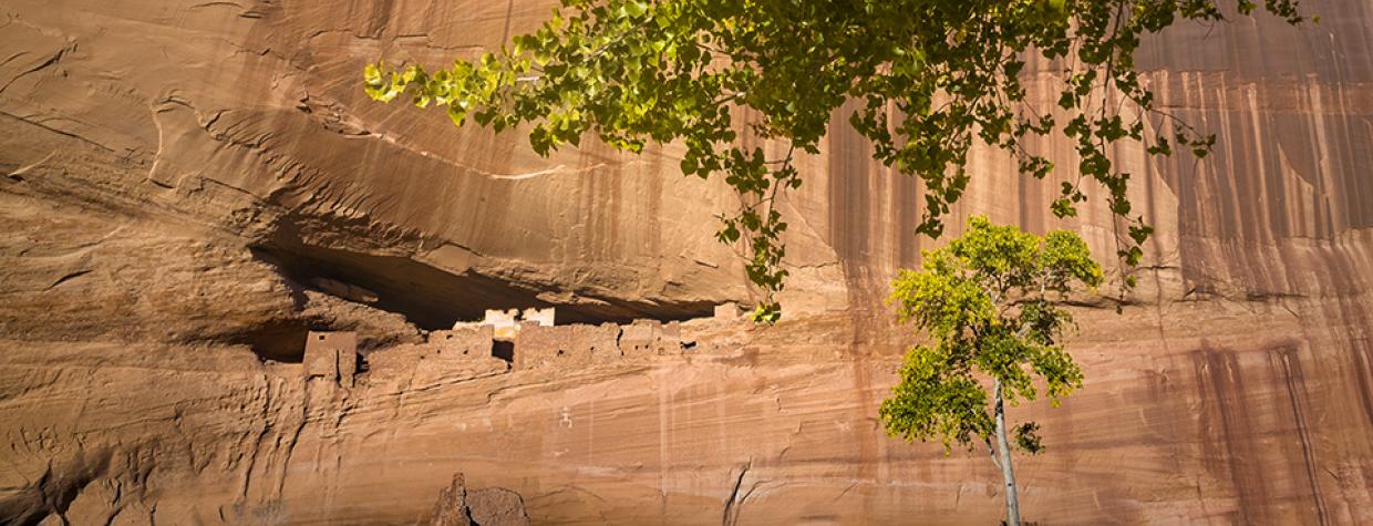 0618_whitehouseruinstrail.jpg