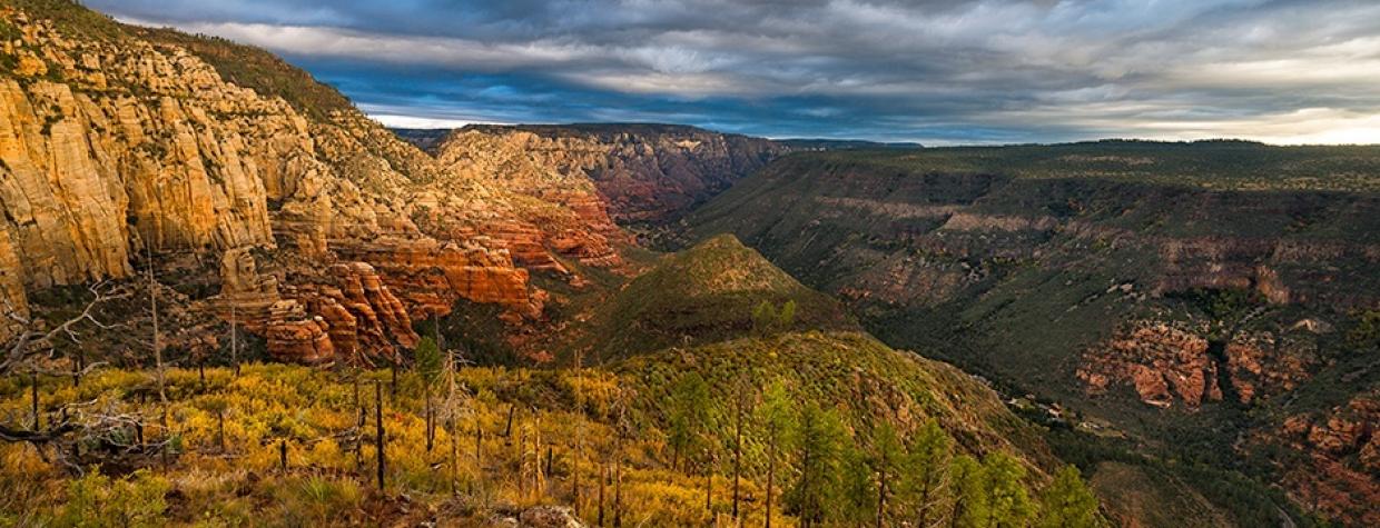 1016_northwilsontrail.jpg