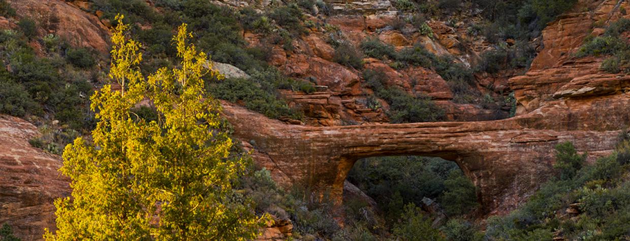1018_sterlingpassvulteearchtrail.jpg