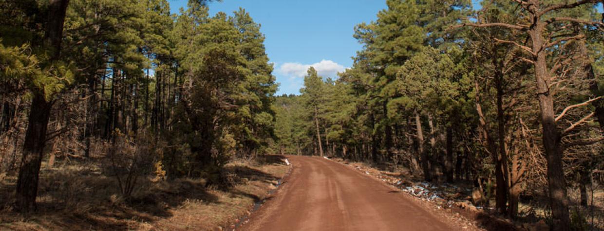 drive_north_stonemanlake_45.jpg
