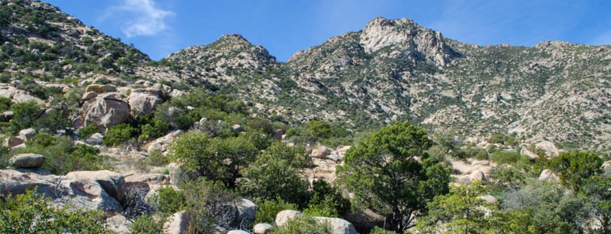drive_south_mescal_156.jpg