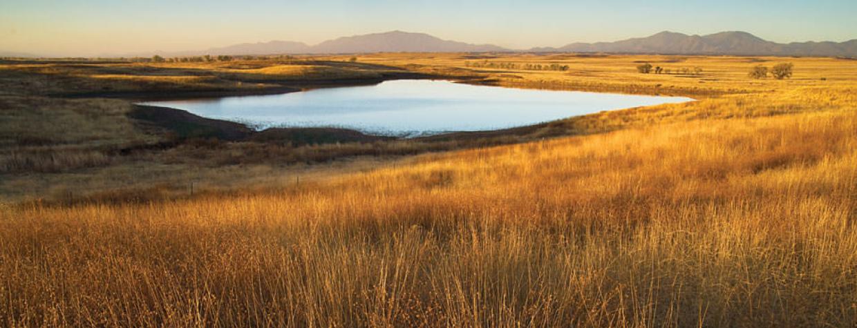 drive_south_sonoita_172.jpg