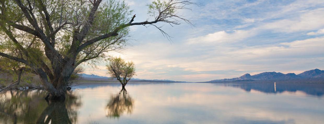 drive_west_cottonwood_126.jpg