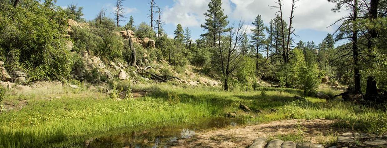 hike_0116_central_apachecreek.jpg