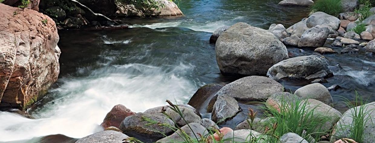 hike_0211_n_casnercanyon2.jpg