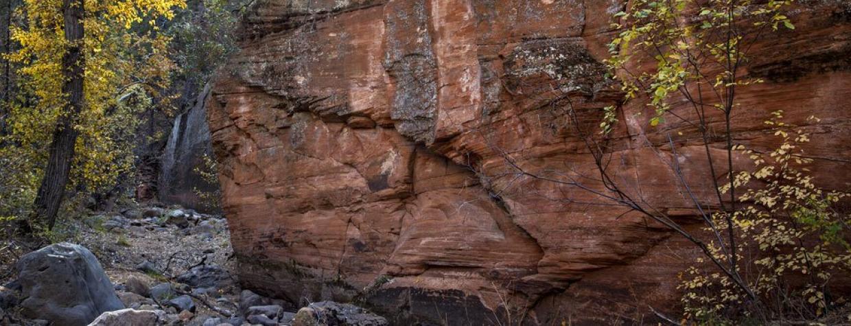 hike_1113_n_secretcanyon.jpg