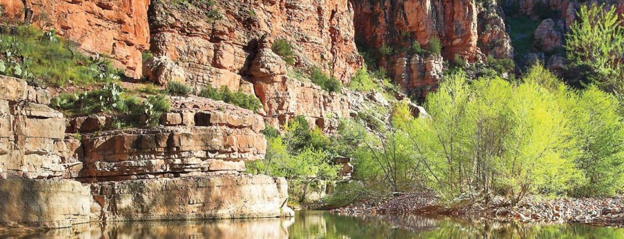 hike_c_parsons_0911.jpg