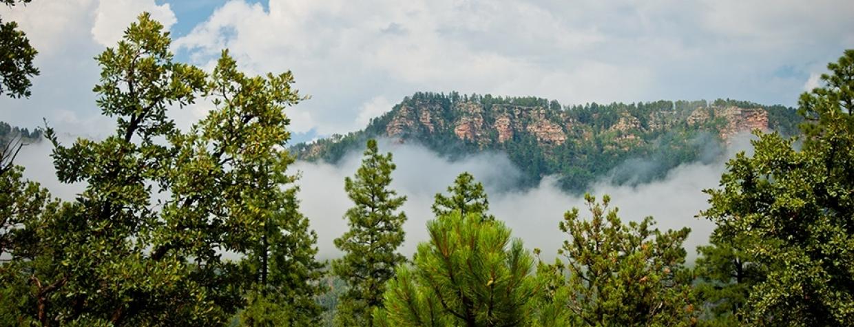 hike_central_seecanyontrail2_0514.jpg