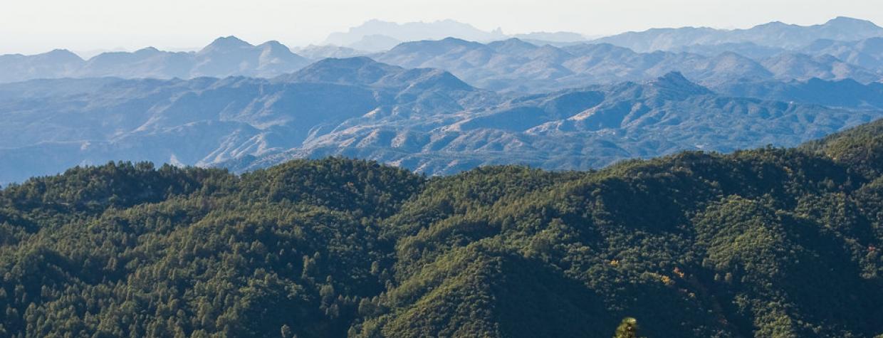 hike_e_pioneer_0210.jpg