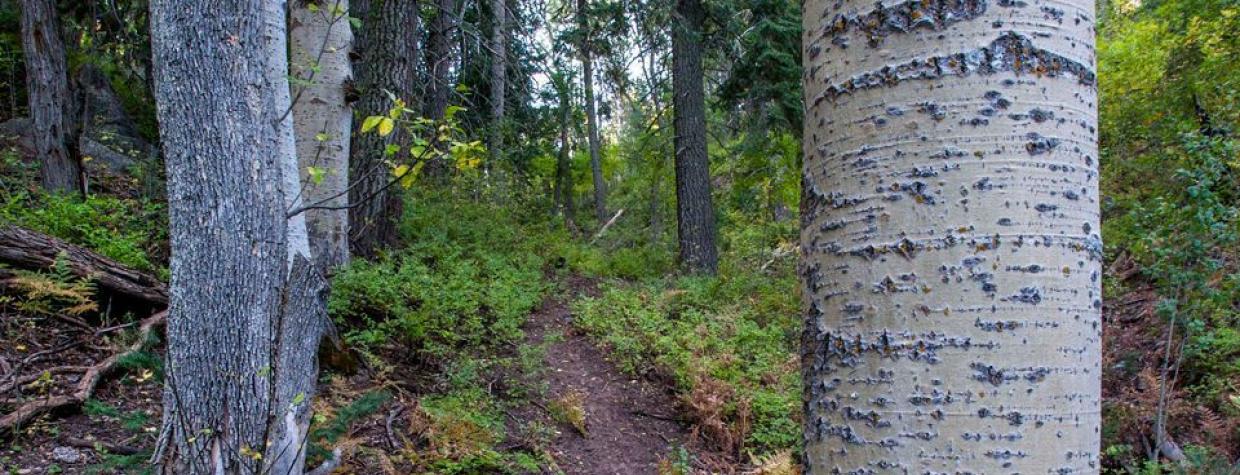 hike_e_sixshooter_0210.jpg