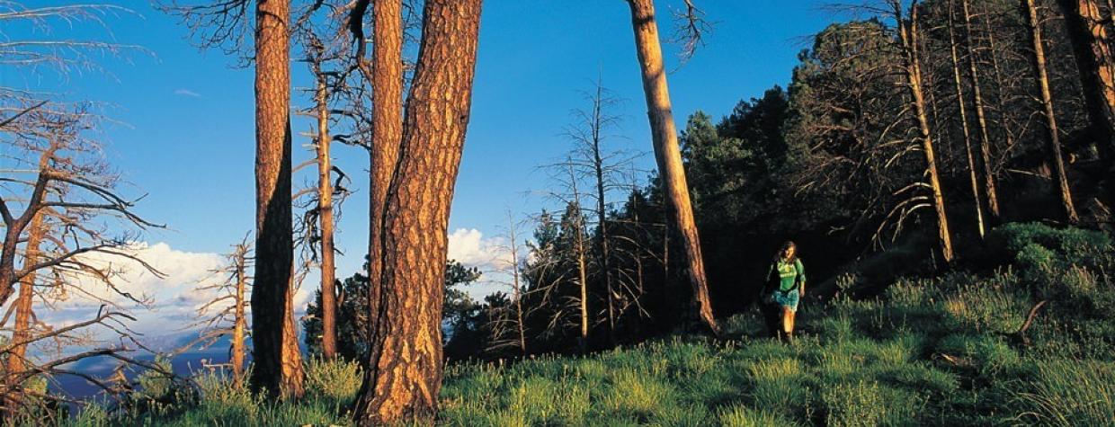 hike_s_oldbaldy_1010.jpg